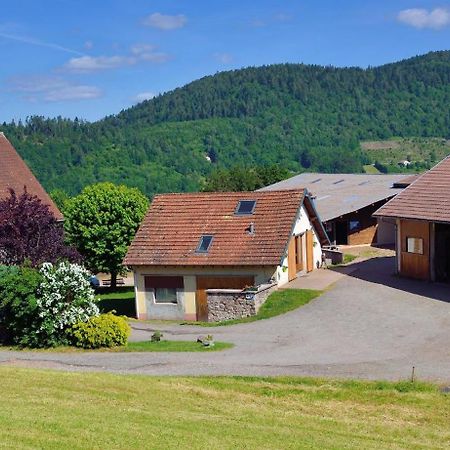 Chambres D'Hotes Hebergement F.Mathieu Saint-Maurice-sur-Moselle Zewnętrze zdjęcie
