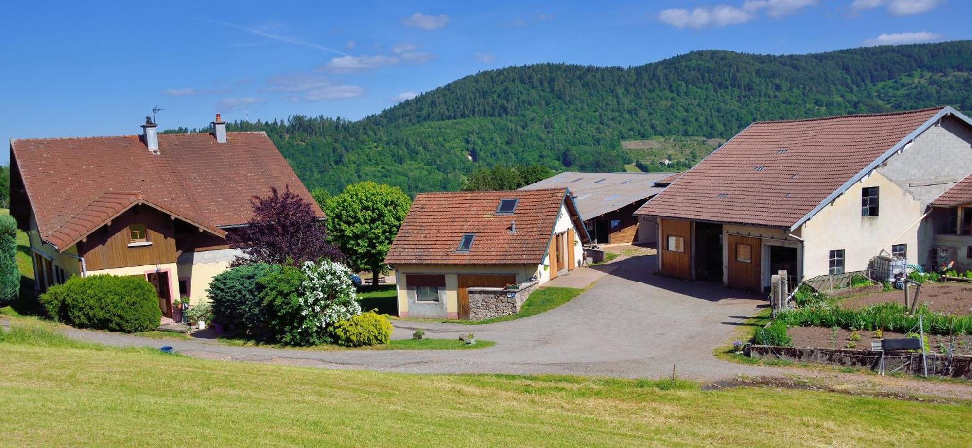 Chambres D'Hotes Hebergement F.Mathieu Saint-Maurice-sur-Moselle Zewnętrze zdjęcie